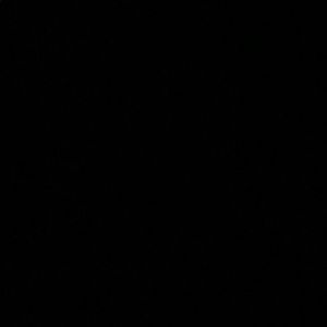 Meet your Posher, Michaela